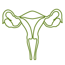 Gynecology