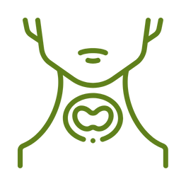 Thyroid